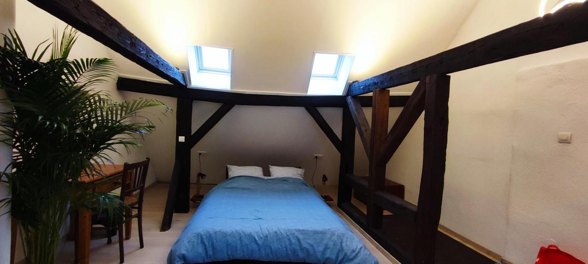 Haven Apartment Страсбург Екстериор снимка